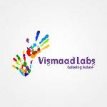 Vismaad Labs profile picture