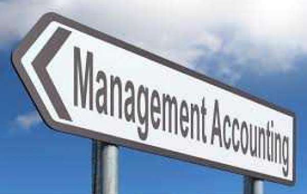 Assessing the Valuable Role of Management Accounting in Business Decision-Making