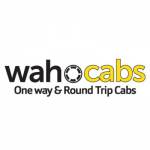 Wahocabs profile picture