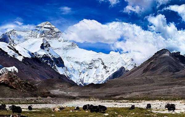 Frequently Asked Questions About Lhasa Gonggar Airport