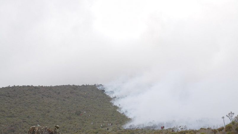 Tanzanía ve progreso en el incendio forestal del Kilimanjaro | by Gaafaq Haider P | Tanzaniasees progress | Nov, 2020 | Medium