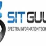 Sit gulf Profile Picture