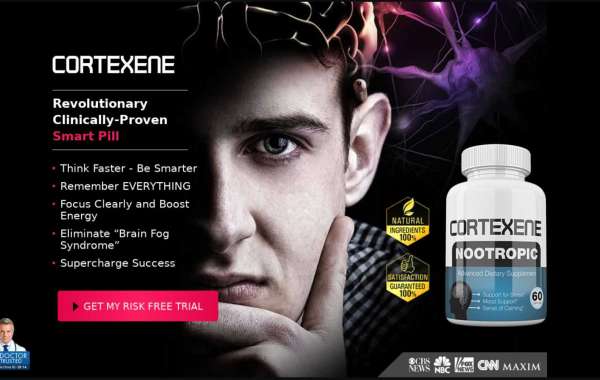 The Single Most Important Thing You Need To Know About CORTEXENE NOOTROPIC