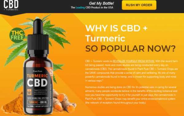 The Ultimate Revelation Of CBD Turmeric Canada.