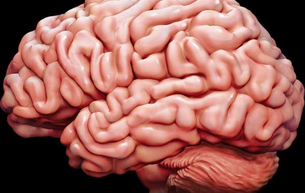 Brain :gives positive health effects in our body