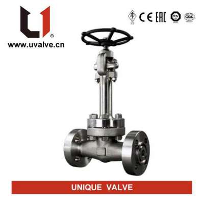 Extended Bonnet Globe Valve Profile Picture