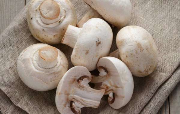 What Are the Health Benefits of Mushrooms?