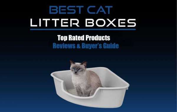 Best Cat Litter Boxes Reviews 2021