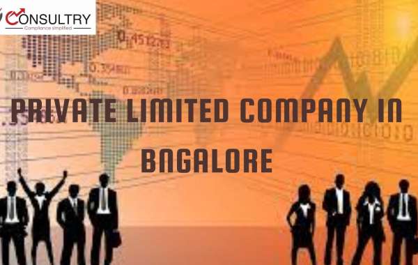 Auditing Requirements of Private Limited Company in Bangalore