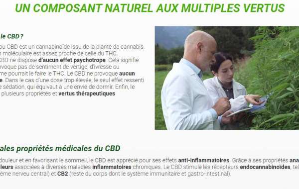 Annabiol CBD Oil Soulagement instantané de la douleur