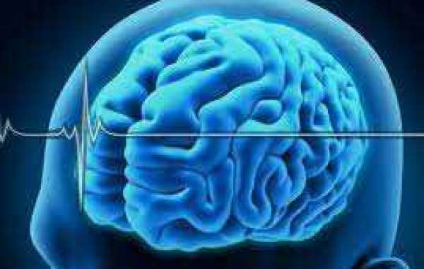 https://knowthepills.com/selzia-brain-review/
