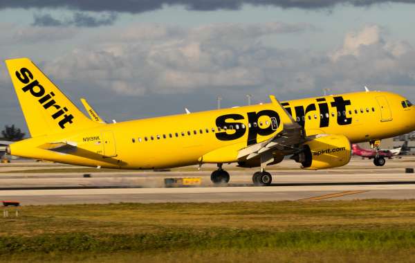 Guide on Spirit Airlines Booking Deals online & offline