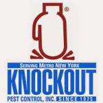 Knockout Pest Control Profile Picture