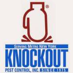 Knockout Pest Control profile picture