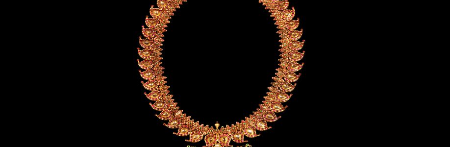 Chand Begum Cover Image