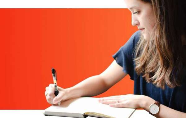 custom essay writing services cheap