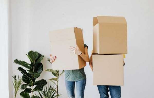 MOVING HOUSE? HERE'S WHAT YOU NEED TO KNOW