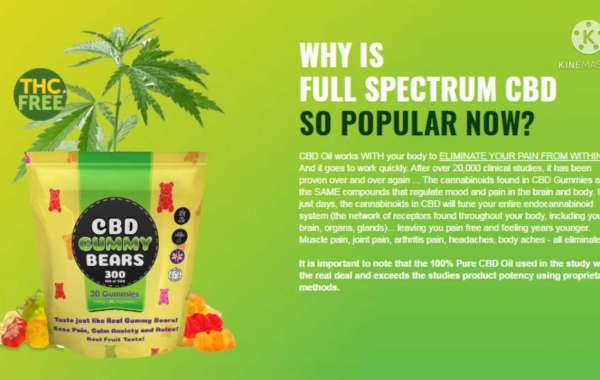 5 Brilliant Ways To Teach Your Audience About GREEN CBD GUMMIES DRAGONS DEN UNITED KINGDOM