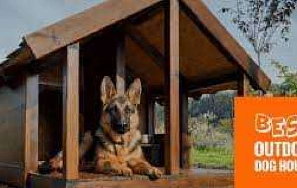 Indoor Dog Houses For Your Dog