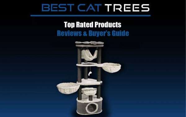 Best Cat Tree For Large Cats Reviews