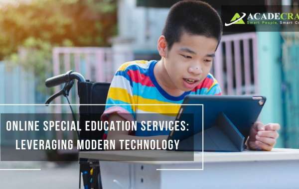 WHY DO THE SPECIAL EDUCATION E-LEARNING SERVICES MATTER?