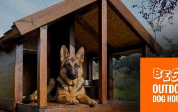 Best Outdoor Dog Houses Review