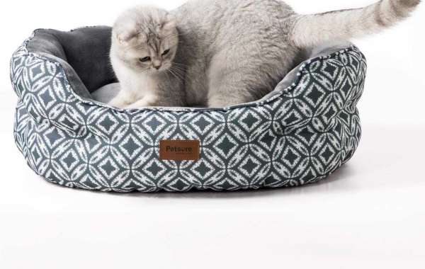 A Few Heated Cat Beds You Could Buy