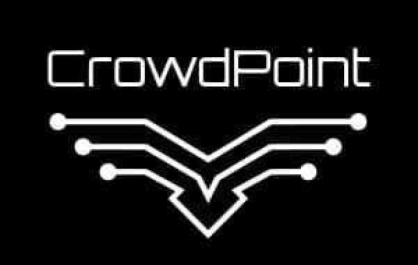 About My CrowdPoint Journey