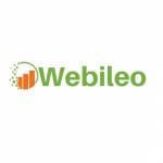 Webileo UK profile picture