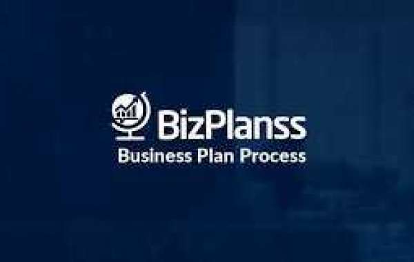 Business Plan writing And Consultant Services