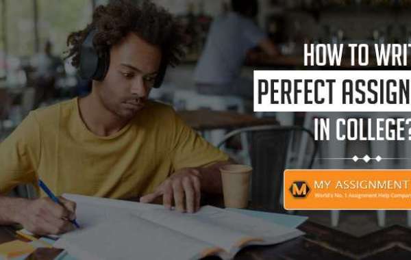 5 Essential Employee Motivation Principles To Help You in the Long Run