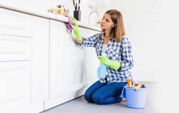 Are Professional House Cleaning Services Really Worth Your Hard Earned Money?