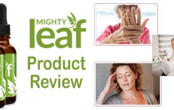 Why Is Mighty Leaf CBD Oil So Popular In 2021?