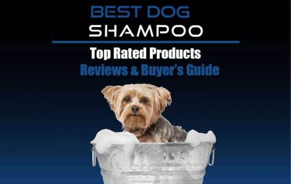 Best Shampoo For Dogs Reviews