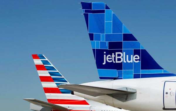 Jetblue Vs. American – Which Is The Most Pet-friendly Airline?