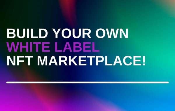 Build Your Own White Label NFT MarketPlace