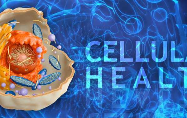 Cellular Health Accelerator - Detailed Reviews & Official Report