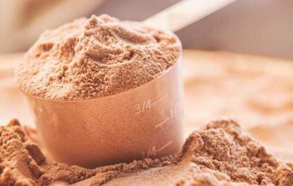 Lifetime Fitness Protein Powder Reviews