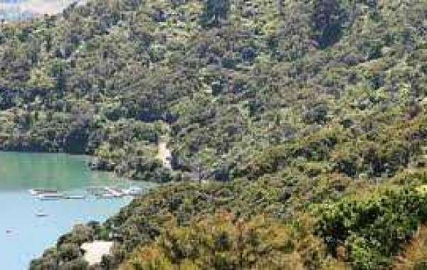 Property For Sale In Marlborough Sounds