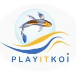 Play It Koi Profile Picture