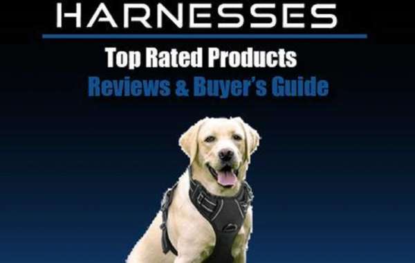 Best Dog Harnesses Reviews