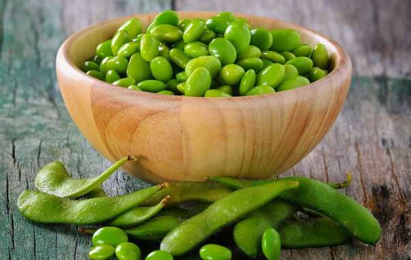 Everything About growing edamame