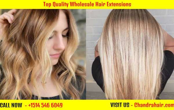 Top Quality Wholesale Hair Extensions - Chandra Hair