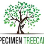 Speci Men Tree Care profile picture