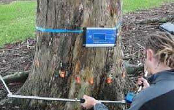 Tree Evaluation Auckland