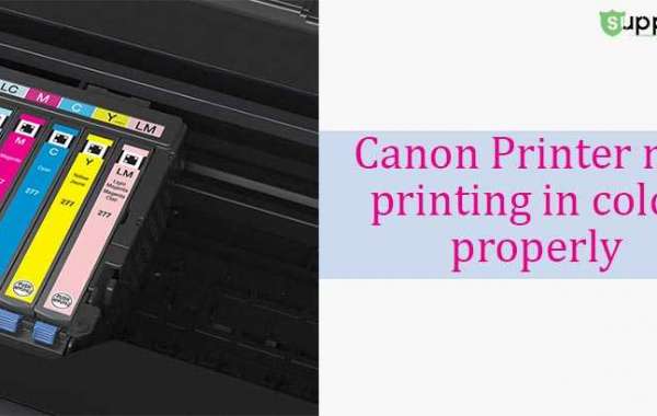 Why is my Canon Printer Not Printing Color?