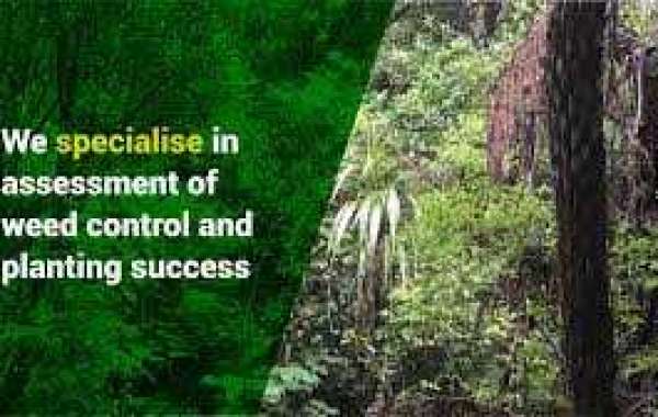 Works Arborist Auckland