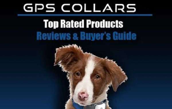 Best GPS Dog Collars Reviews