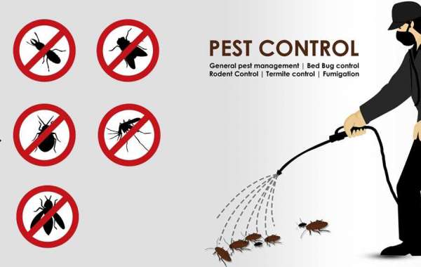 شركة الأوائل لمكافحة الحشرات ورش المبيدات