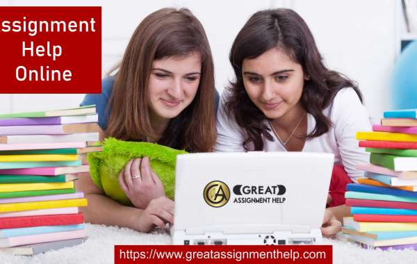 Build your grade through active service of Online Assignment help